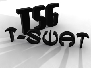 Wilkommen bei TSG T-Swat